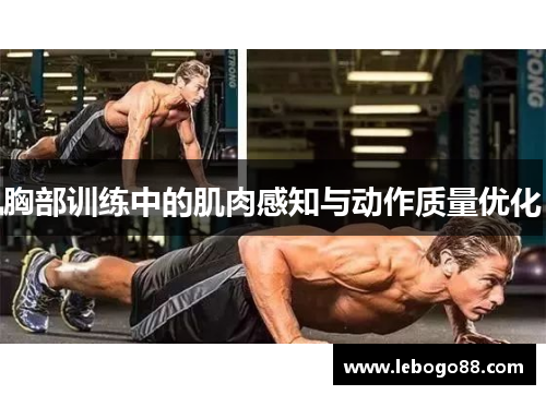 胸部训练中的肌肉感知与动作质量优化